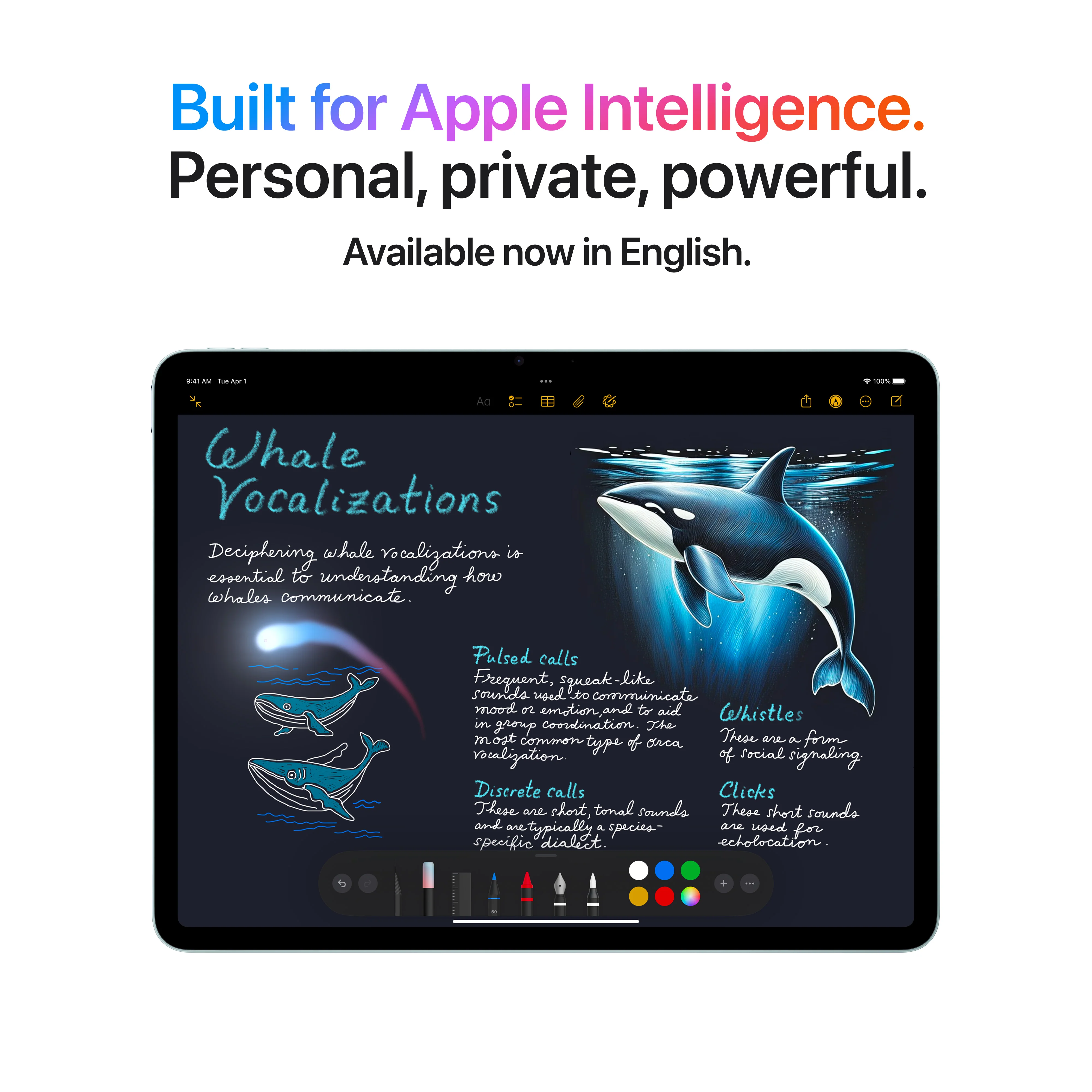 Product image 75